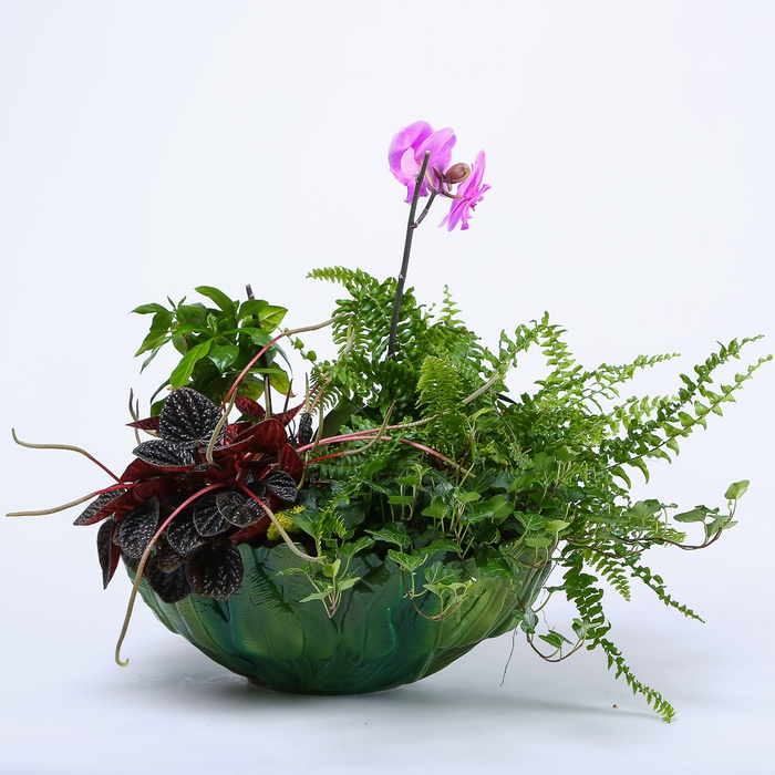 Высадка растений в кашпо "Цветочная медитация"