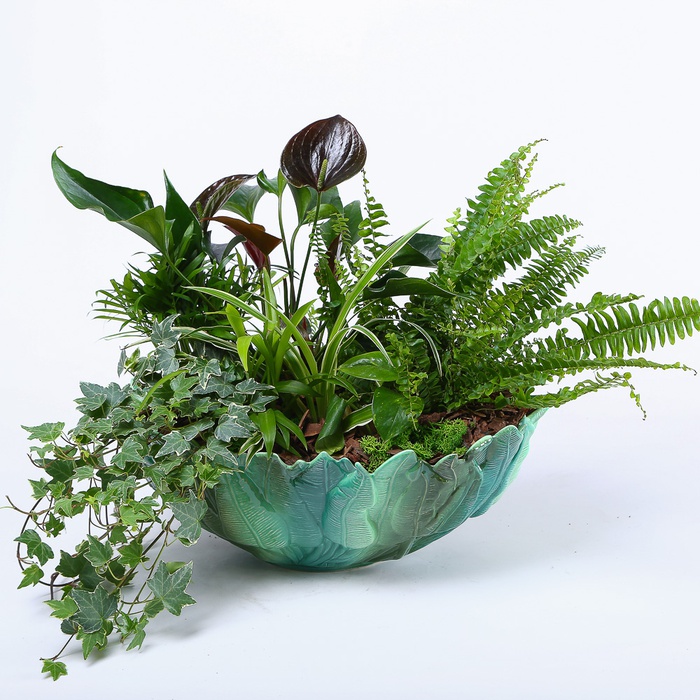 Высадка растений в кашпо "Цветочная медитация"