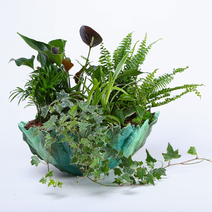 Высадка растений в кашпо "Цветочная медитация"