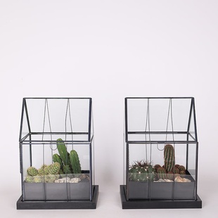 Террариум "Пустынный дом"