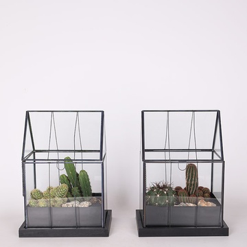 Тераріум "Пустельний дім"