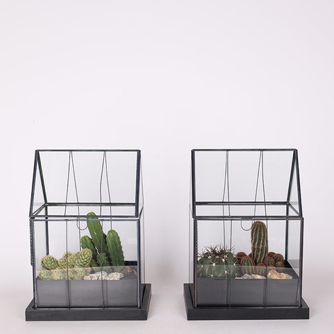 Террариум "Пустынный дом"