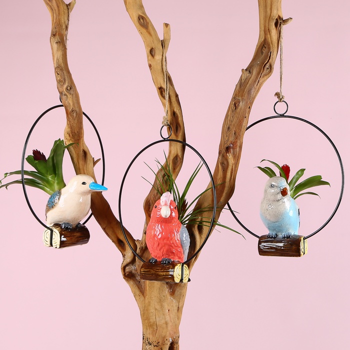 Бромелія мікс в декоративному кашпо з пташкою