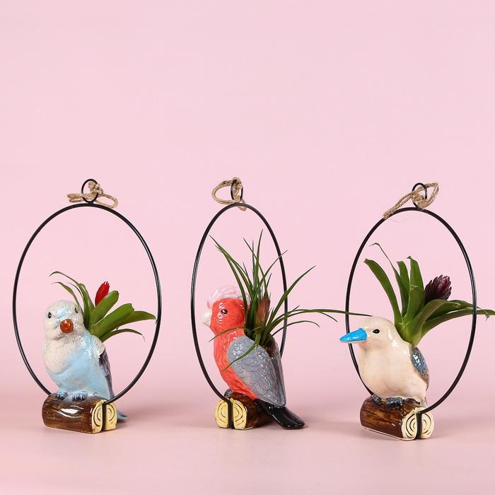 Бромелія мікс в декоративному кашпо з пташкою