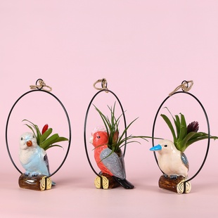 Бромелія мікс в декоративному кашпо з пташкою