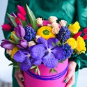 Цветы в коробке "Краски весны"