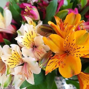 Букет з 15 альстромерій