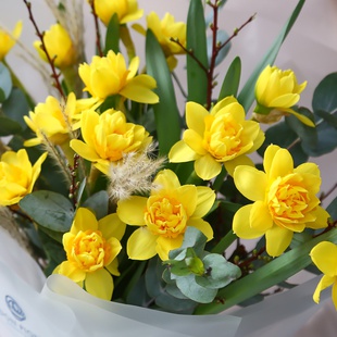 Букет з нарцисів "Сонячний сад"