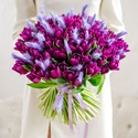 Букет 101 фиолетовый тюльпан с крашенным лагурусом лагурусом