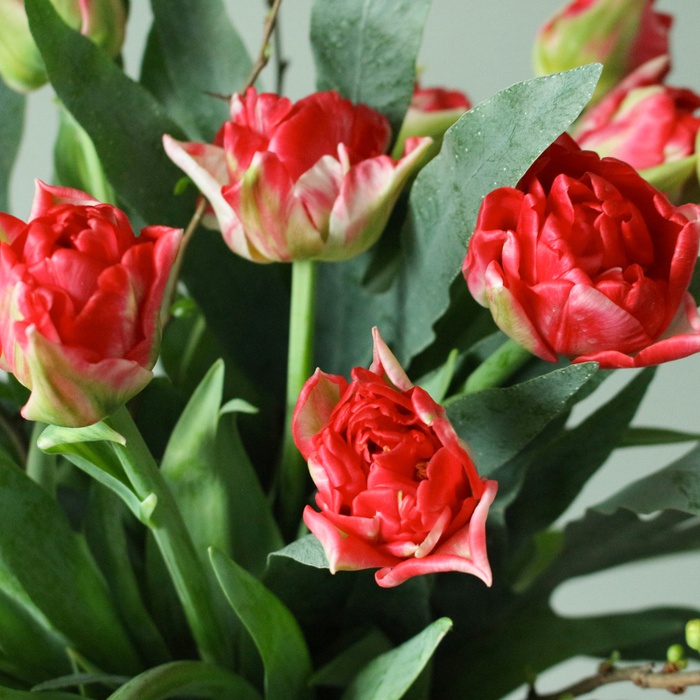 Букет 15 тюльпанов дабл с цветущими ветками