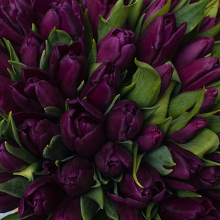 Квіти у кошику "101 фіолетовий тюльпан"