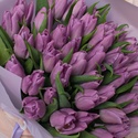 Букеты сиреневых тюльпанов "Две истории"