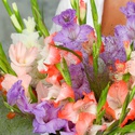 Квіти в коробці "Різнобарвні гладіолуси"