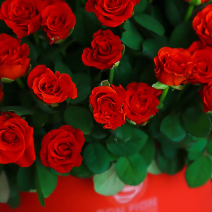 Квіти в коробці "101 червона троянда"