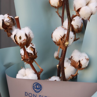 Букет из хлопка