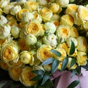 Букет з 35 піоноподібних троянд Піоні Бабблз