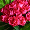 Букет з 25 троянд Пінк Флойд
