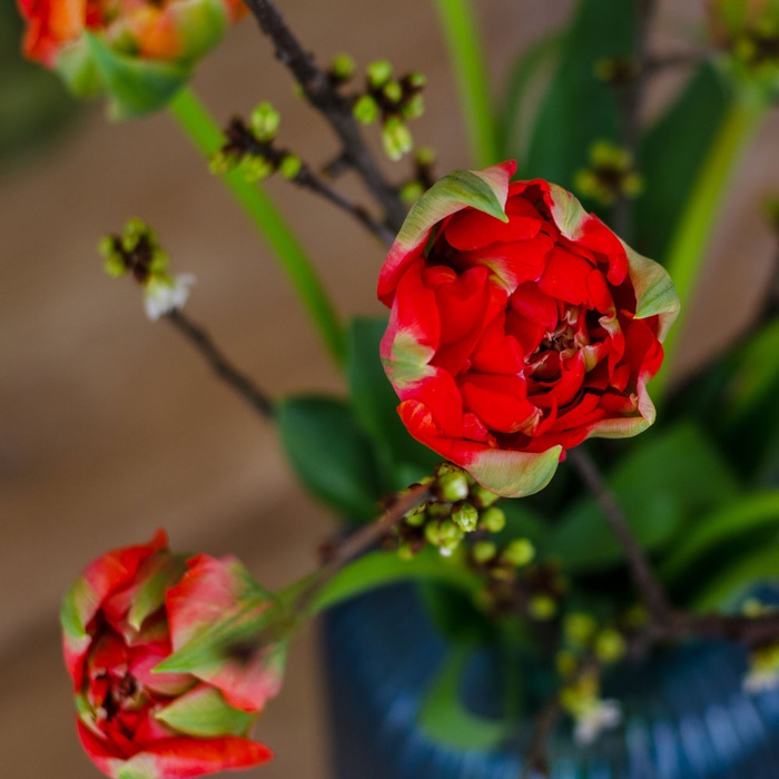 Квіти у вазі "Квітучий французький тюльпан"