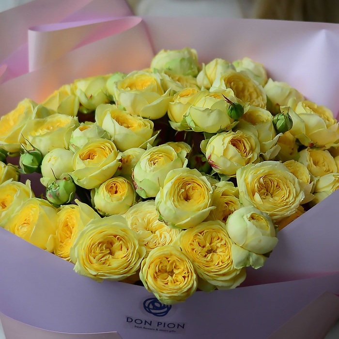 19 піоноподібних троянд Піоні Баблз