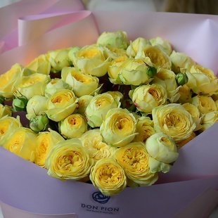 19 піоноподібних троянд Піоні Баблз