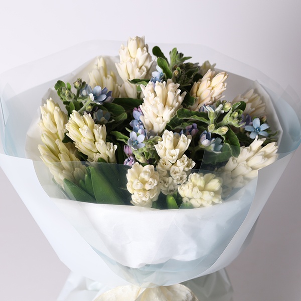 Букет з гіацинтами та оксипеталумом "Перлина весни"