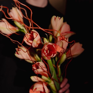 Букет 7 амарилісів з саліксом