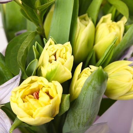 Букет из тюльпанов "Доставка весны"