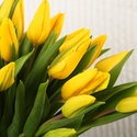 Букет 35 желтых тюльпанов